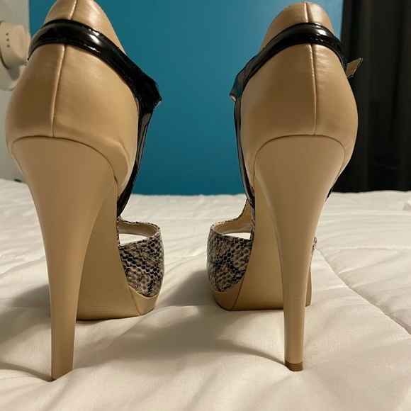 Steve Madden Palmerr Natural Snake - Picture 3 of 5